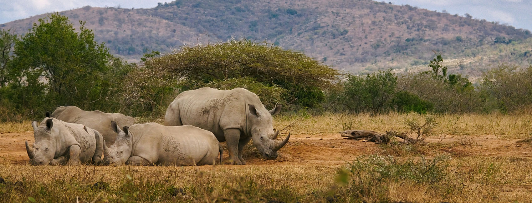 10 Days 9 Nights best of Kenya wildlife safaris