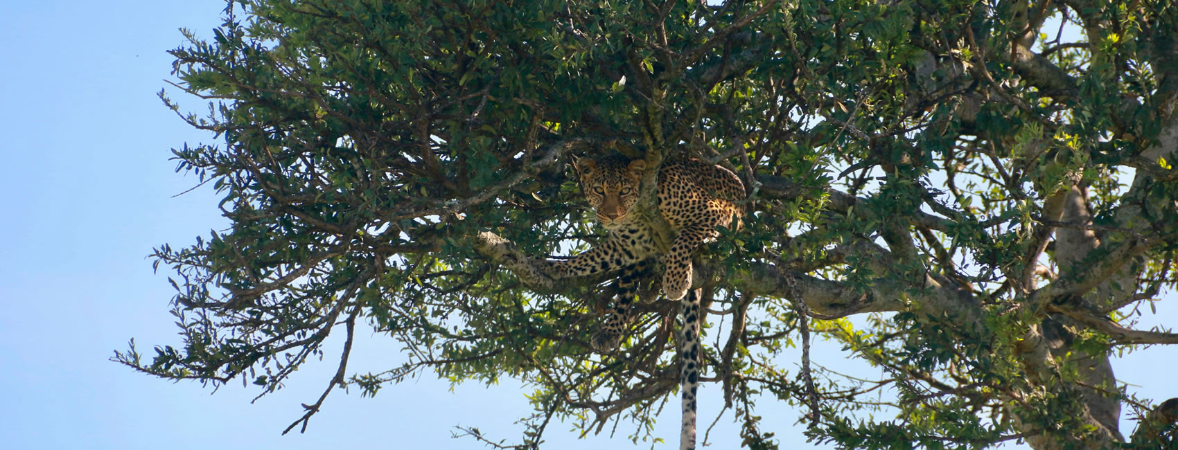 10 Days Best of Kenya Safari