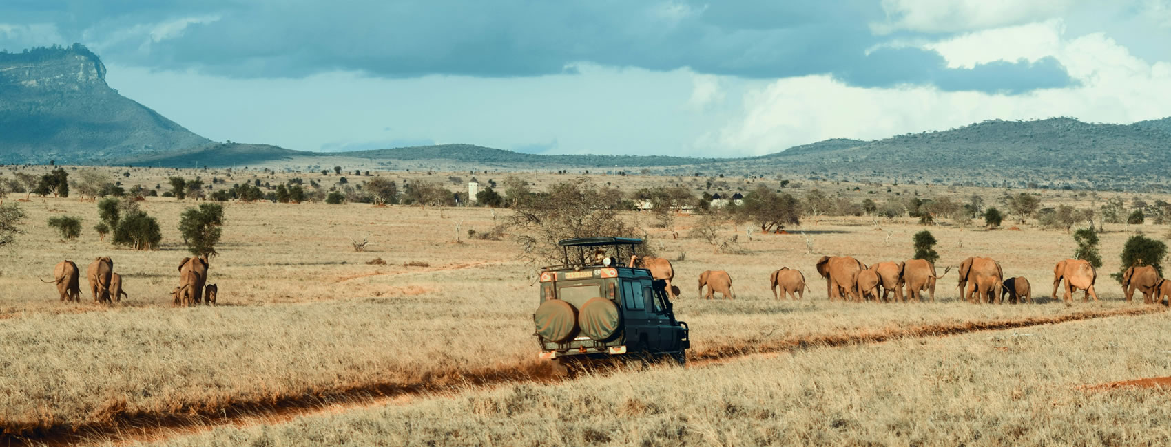 11 Days Kenya And Tanzania Private Safari