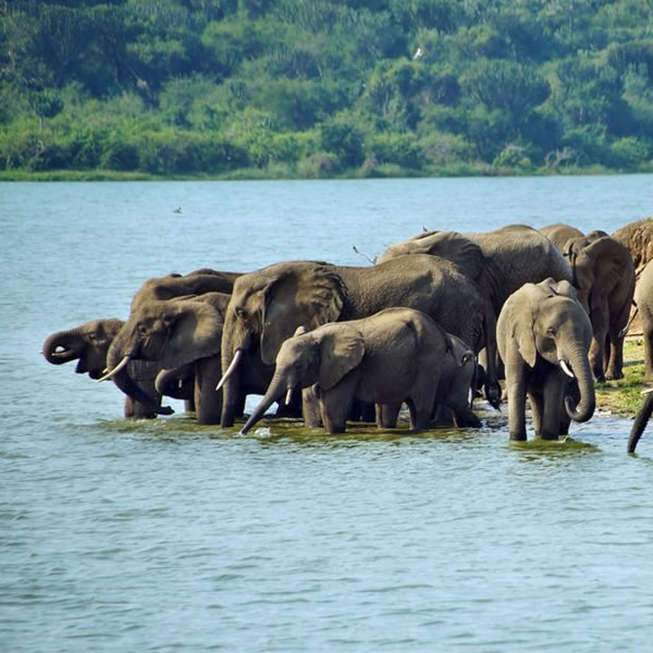 12 Days 11 Nights Beautiful Tanzania Safari