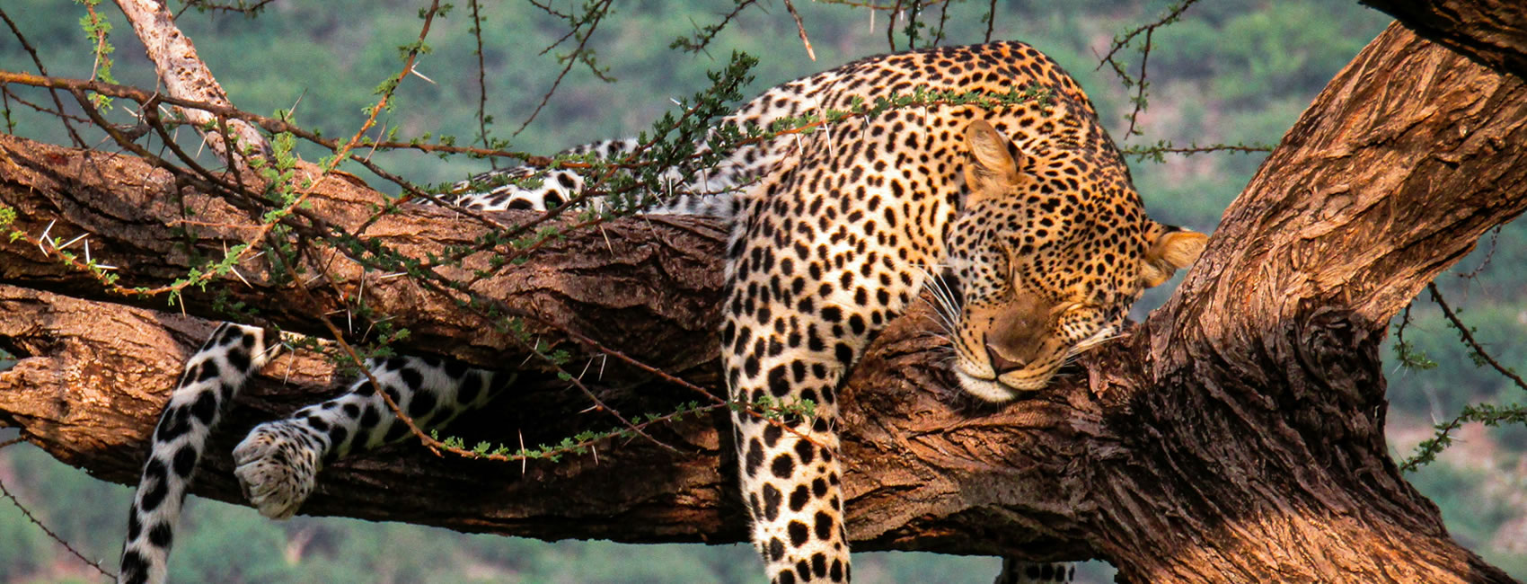 12 Days 11 Nights Wildlife Safaris Tanzania