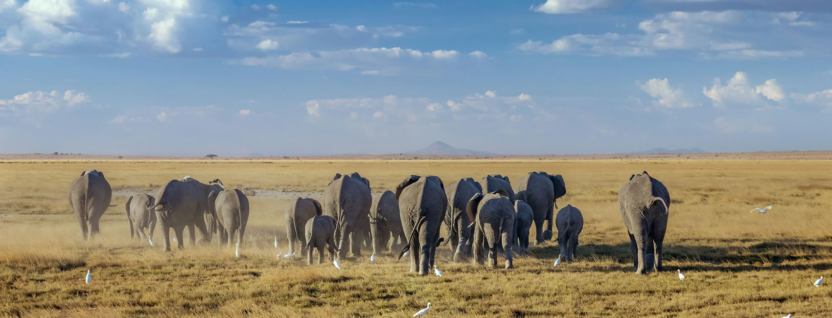 12 days 11 Nights Tanzania and Kenya tour