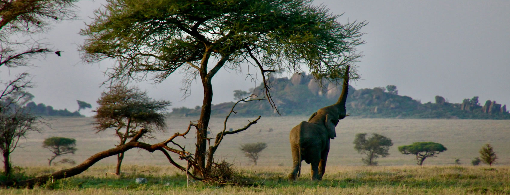 14 Days 13 Nights Safari Tanzania Tours
