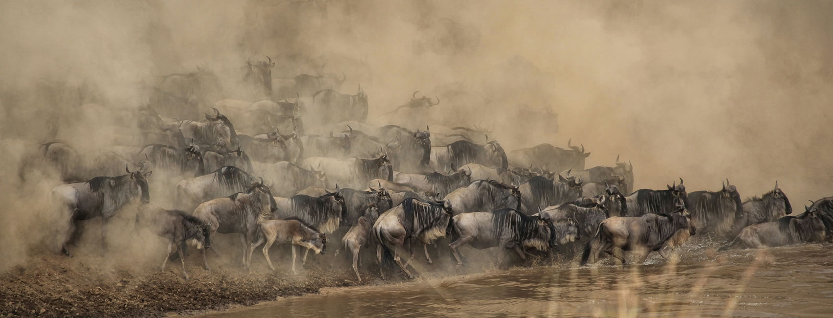 7-Day 6 Nights Great Serengeti Migration Tour