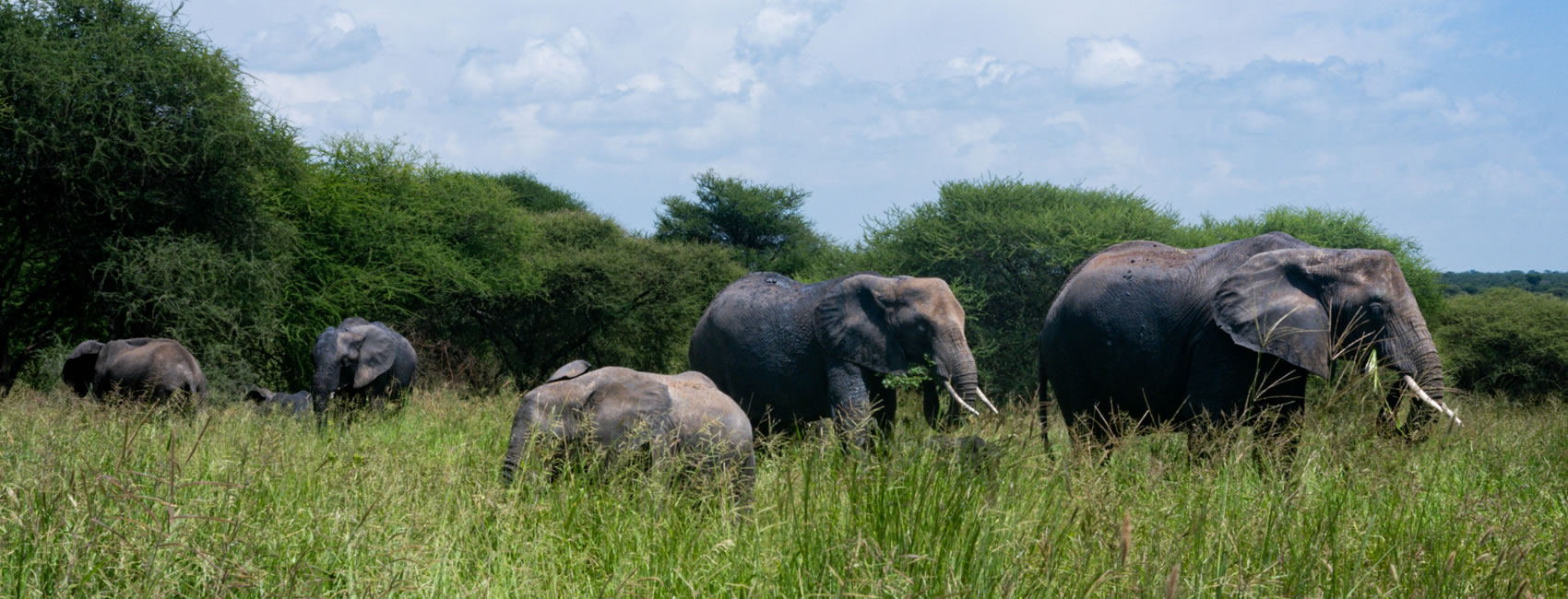 7 Days 6 Nights Tanzania safari adventure