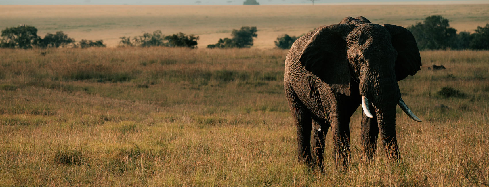 7 Days Kenya Wildlife Safari & Kenya Nature Trekking Tour