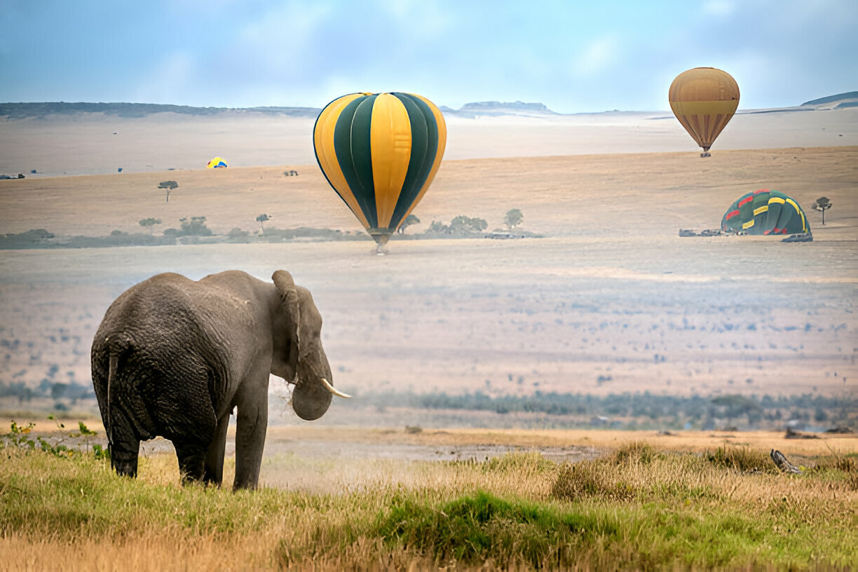 Our African Safari Idea