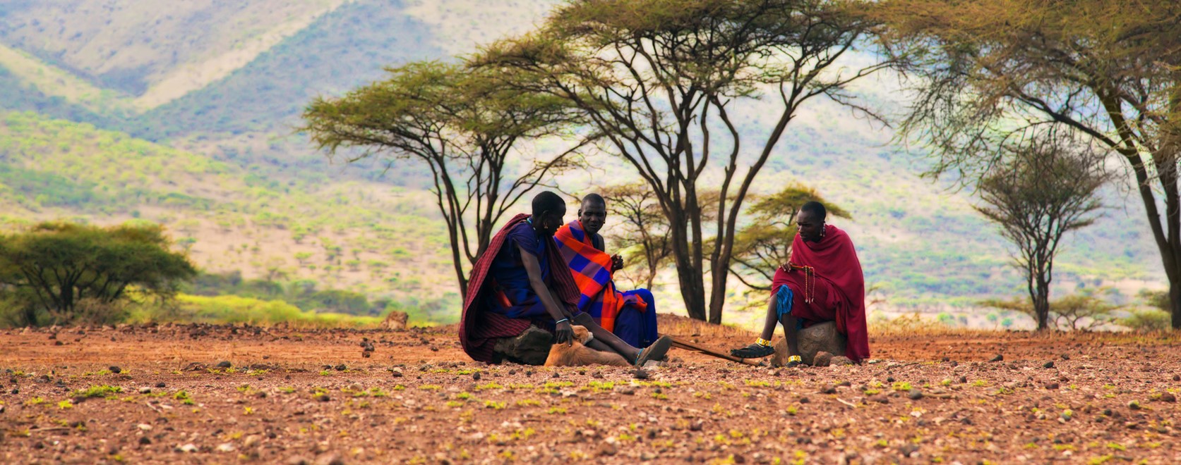 We understand that every traveler is unique & so their safari dreams Are