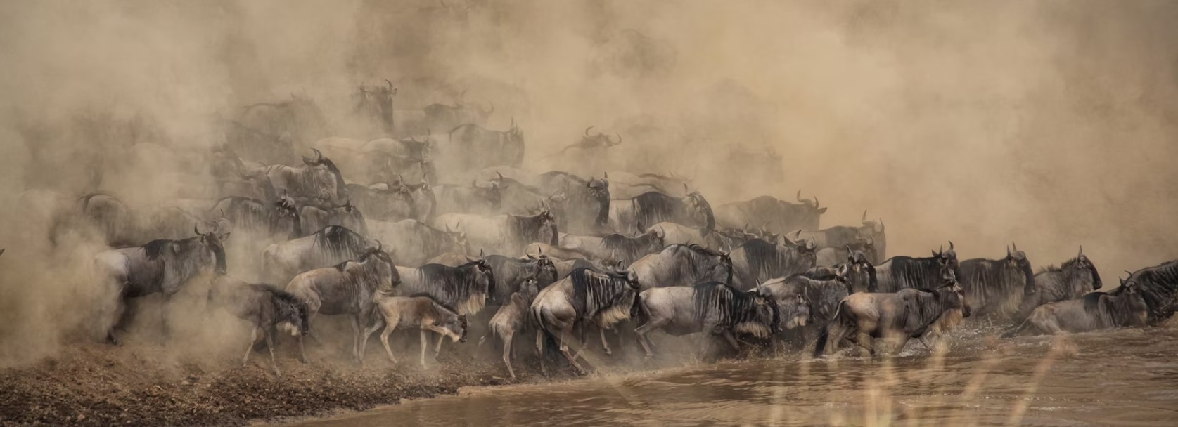 3 Days 2 Night Wildlife Safari Masai mara wildlife Game reserve safari