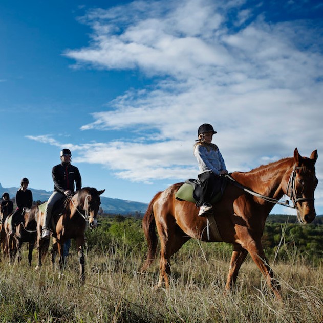 3 Days 2 Nights Nairobi city tour and Mount Kenya safari