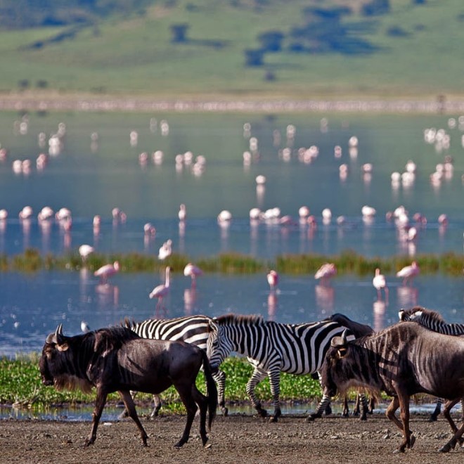 3 Days 2 Nights Ngorongoro and Lake Manyara safari