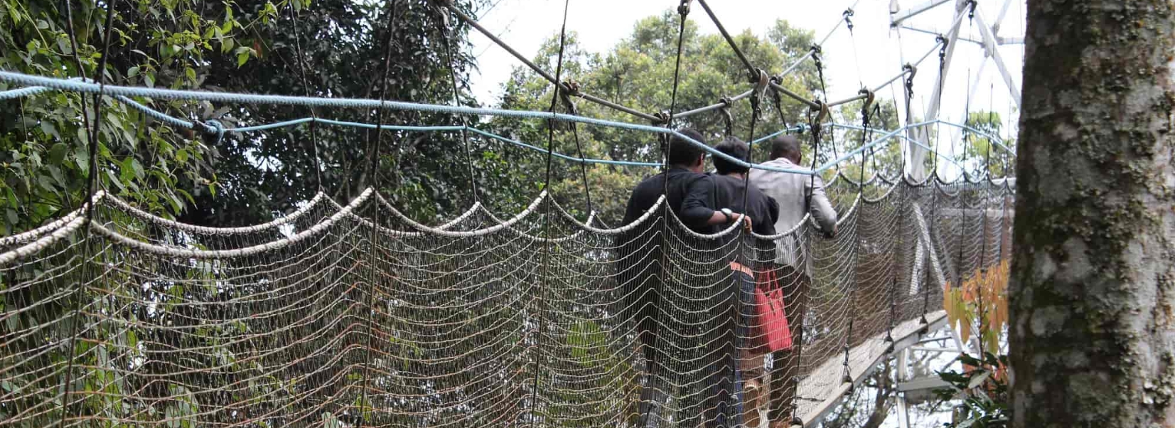 4 Days 3 Nights Nyungwe national park and Lake Kivu