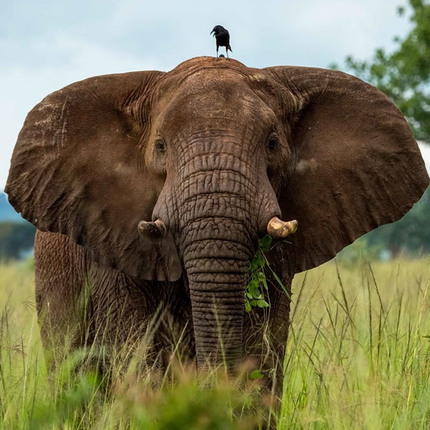 4 Days 3 Nights Safari in Kidepo National Park Uganda