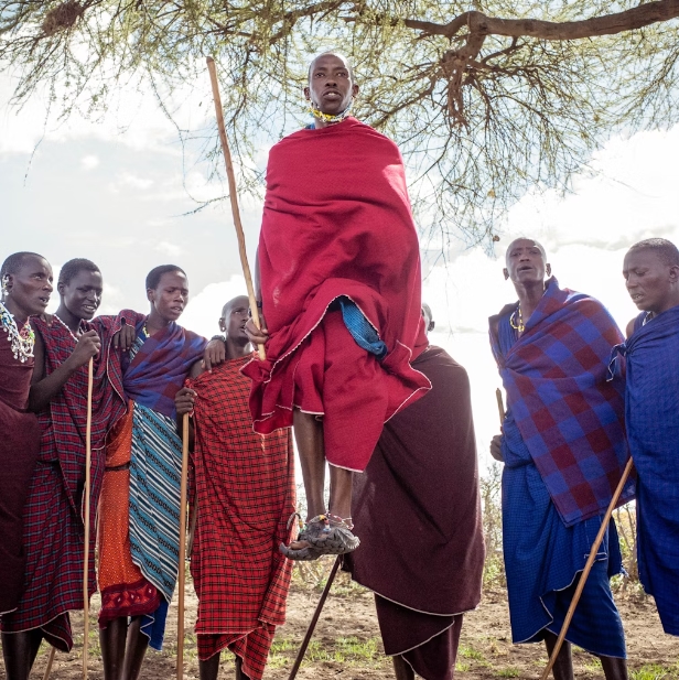 4 Days 3 Nights Tanzania wildlife safari and Cultural tour