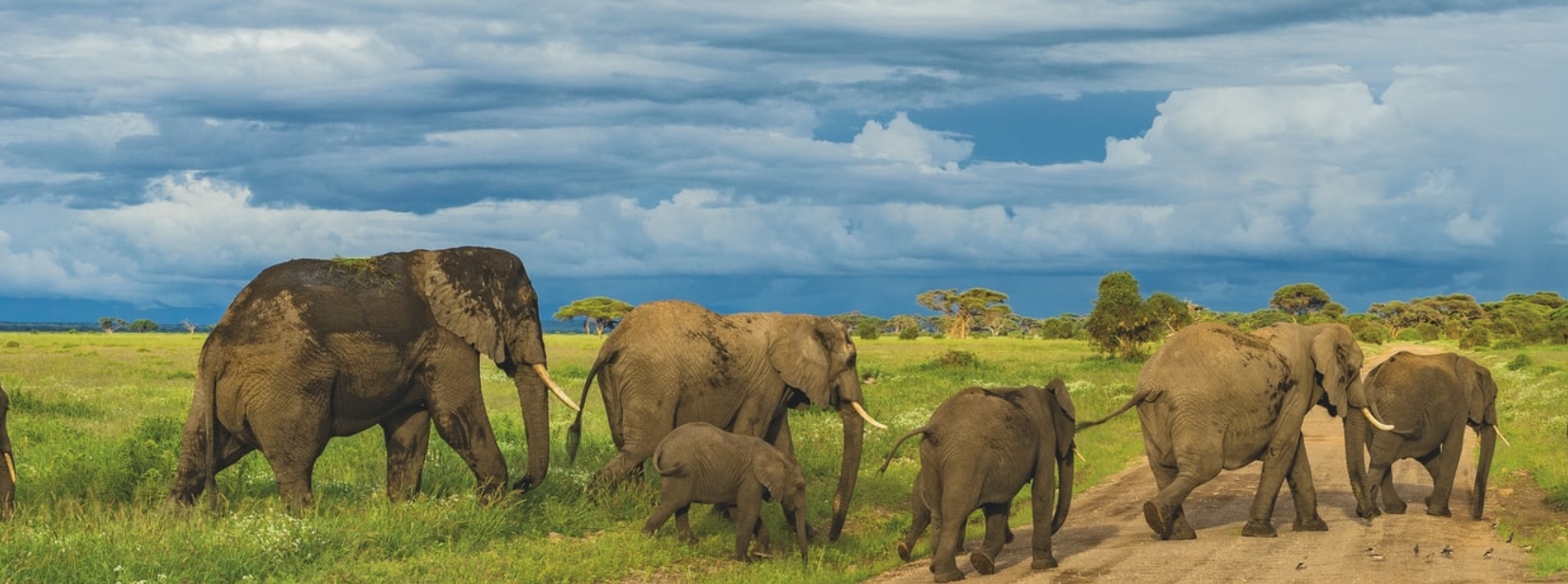 4 Days 3 Nights Tanzania wildlife safari and Cultural tour