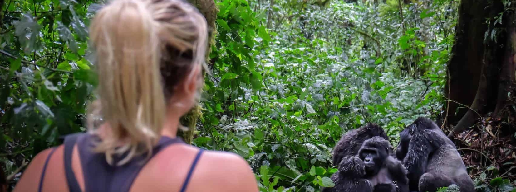 4 Days 3 Nights Uganda gorilla Trekking Safaris
