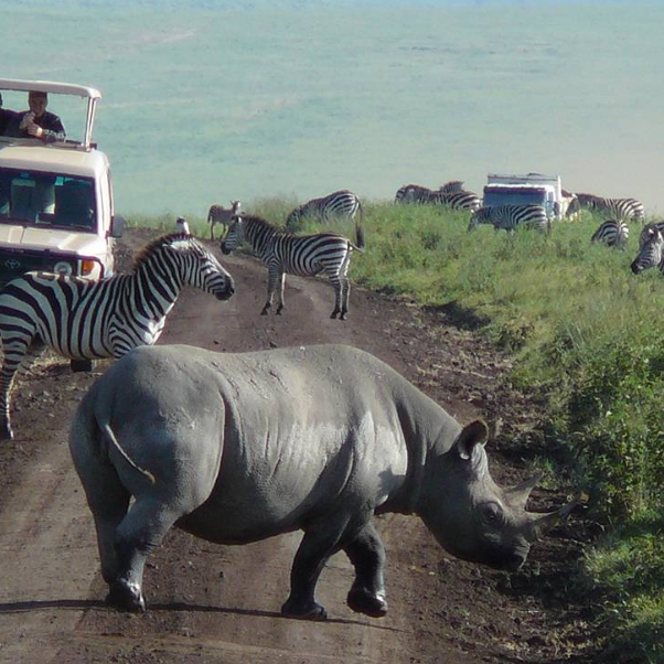5 days 4 Nights Serengeti and Ngorongoro crater safari