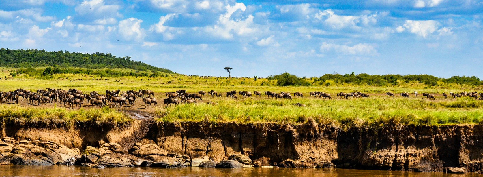 6 Days 5 Nights birding safari Kenya and Masai Mara