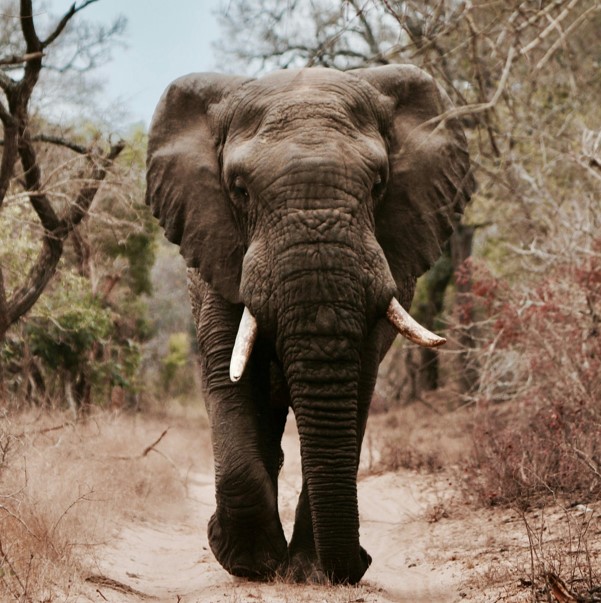 7 Days 6 Nights Tanzania best of Tanzania safari tour