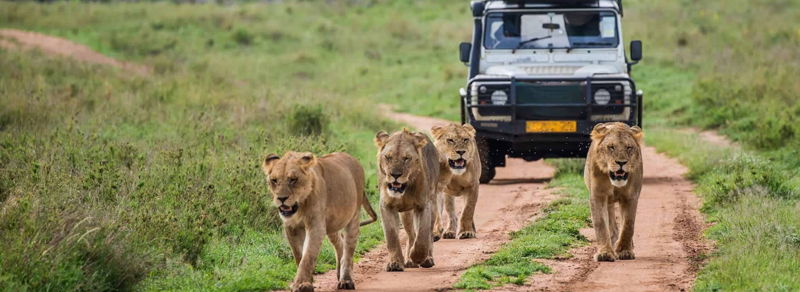 7 days 6 Nights best of Kenya Adventure safari