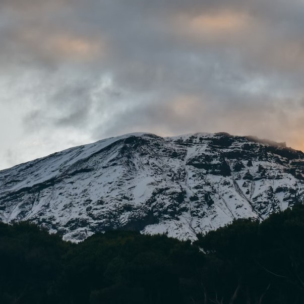 9 Days 8 Nights mountain Kilimanjaro hiking safari