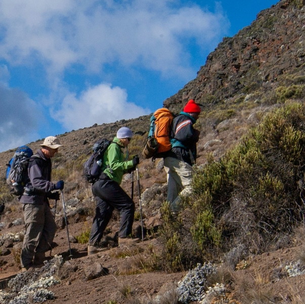 9 days 8 Nights Kilimanjaro hiking safari Lemosho Route