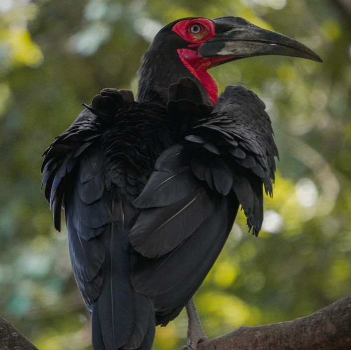 Lake Manyara National Park is a gem of Tanzania