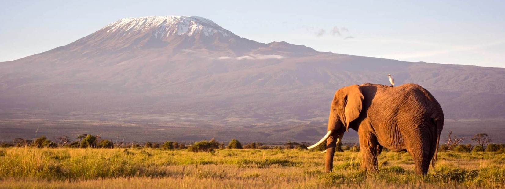 3 Days 2 Nights Nairobi city tour and Mount Kenya safari