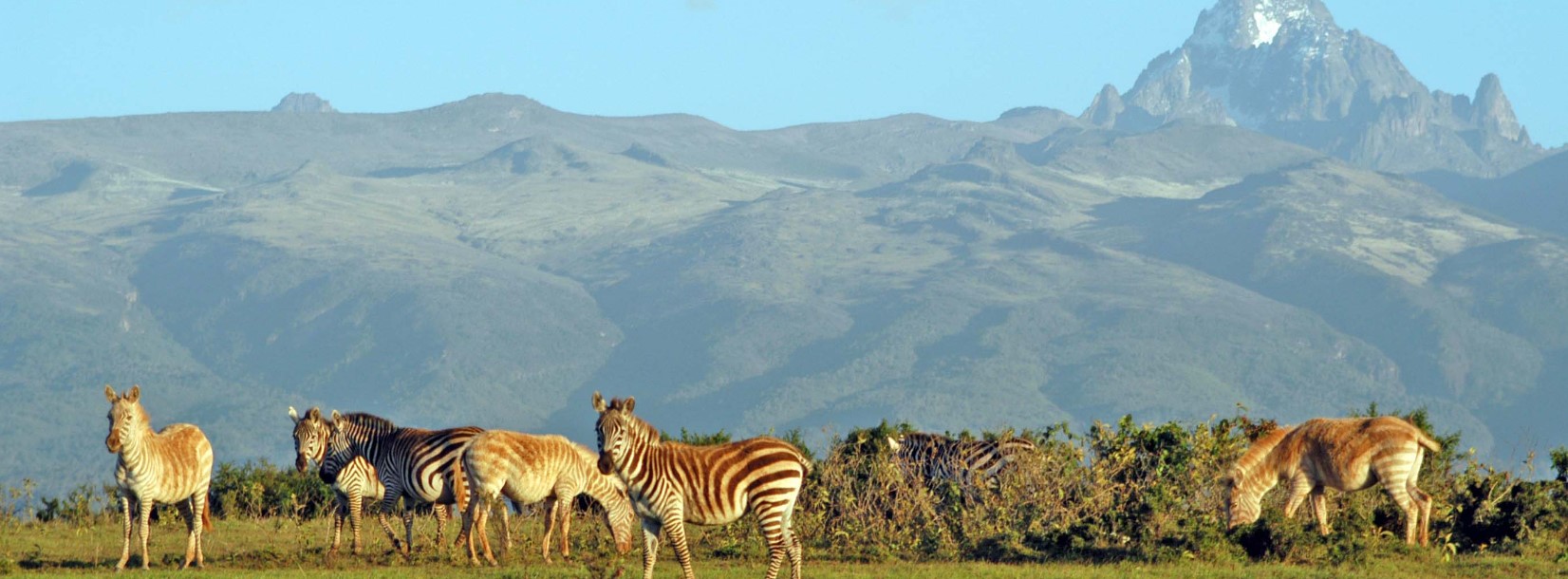 Nairobi city tour and Mount Kenya safari