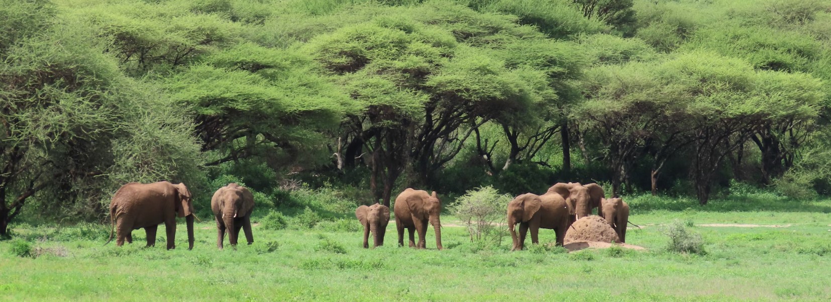 2 Days Ngorongoro conservation area