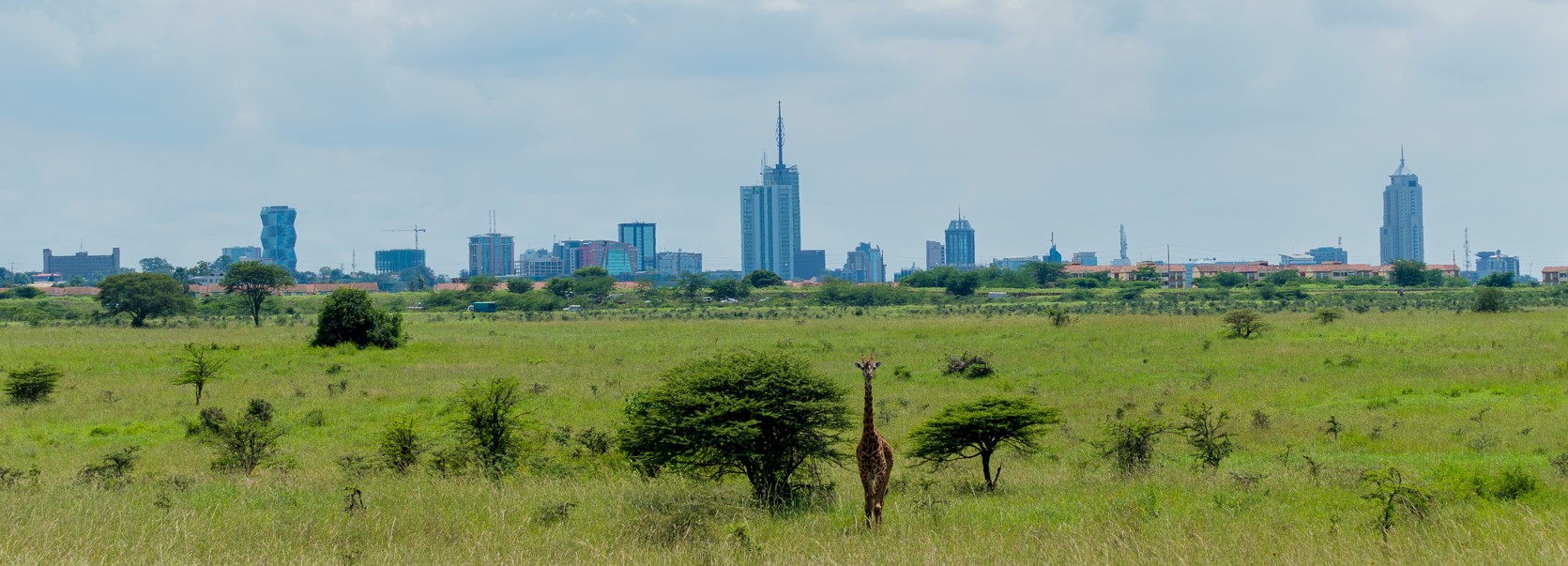 4 Days 3 Nights birding and Nairobi city tour