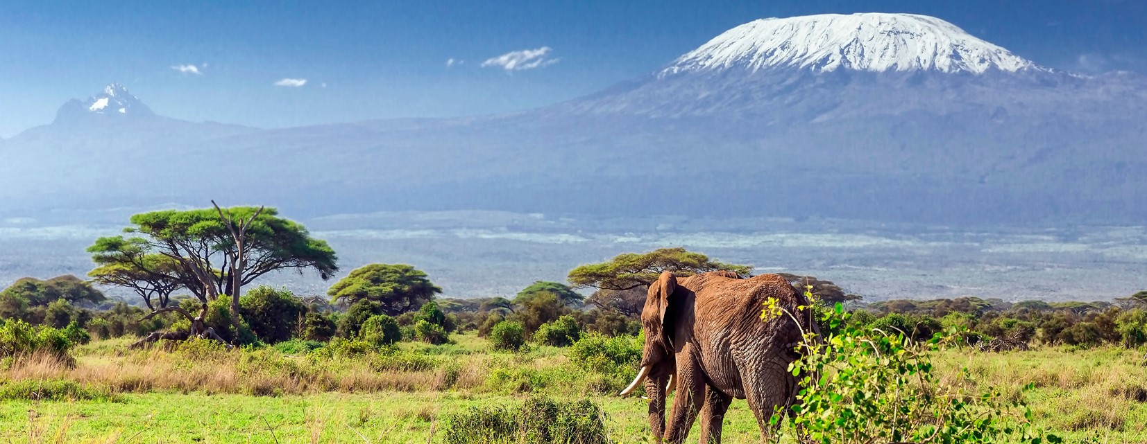 6 Days Tanzania birding safari and Kilimanjaro